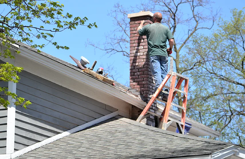 Chimney & Fireplace Inspections Services in Mokena, IL